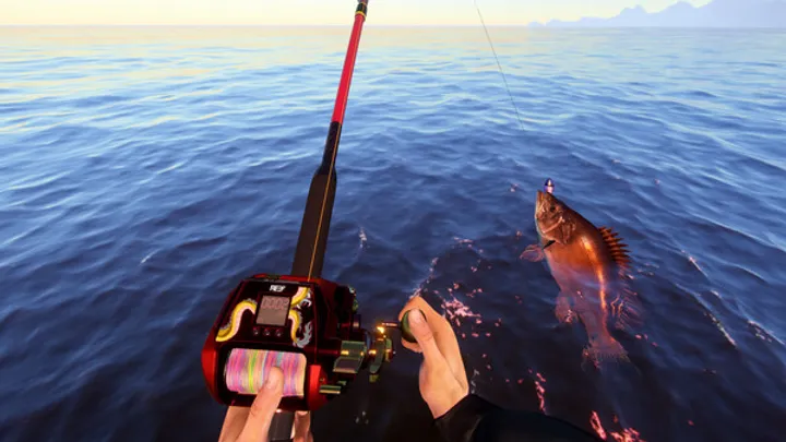 Russian Fishing 4: Tips & Guides for Every Stage of Your Angling Journey